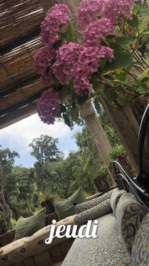 Maison D'Hotes "Abou-Hachem" Melaah エクステリア 写真